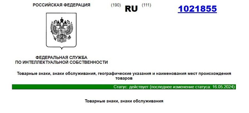 пример действующего статуса